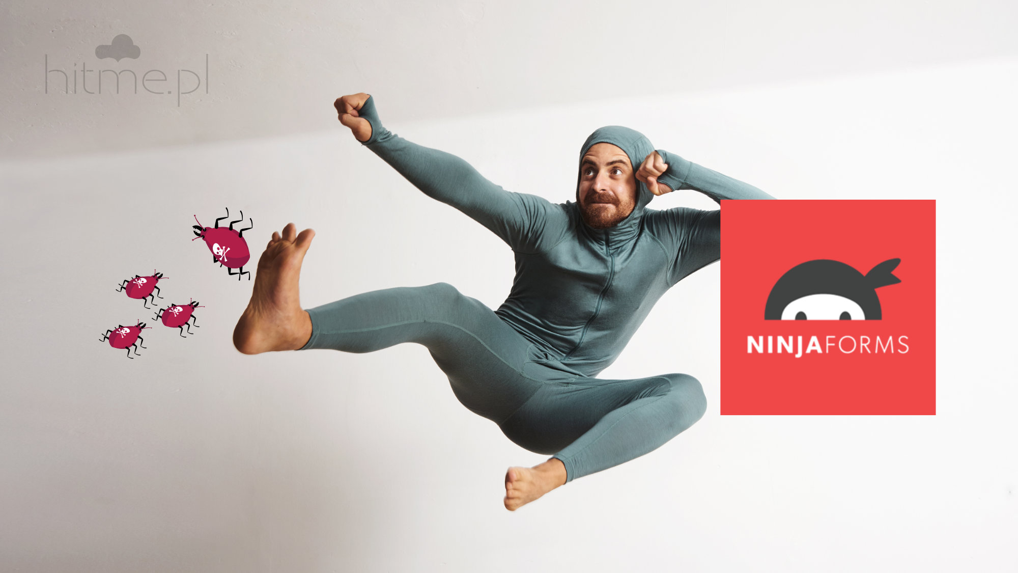 Obrazek dla Cztery poważne luki w Ninja Forms załatane.