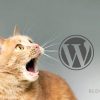 Zrobiłem aktualizacje WordPress 5.8. Zniknęły widgety - rozwiązanie.