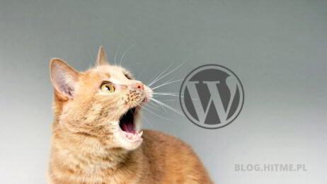Zrobiłem aktualizacje WordPress 5.8. Zniknęły widgety - rozwiązanie.
