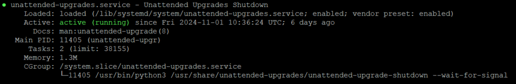 vps dobre praktyki auto update