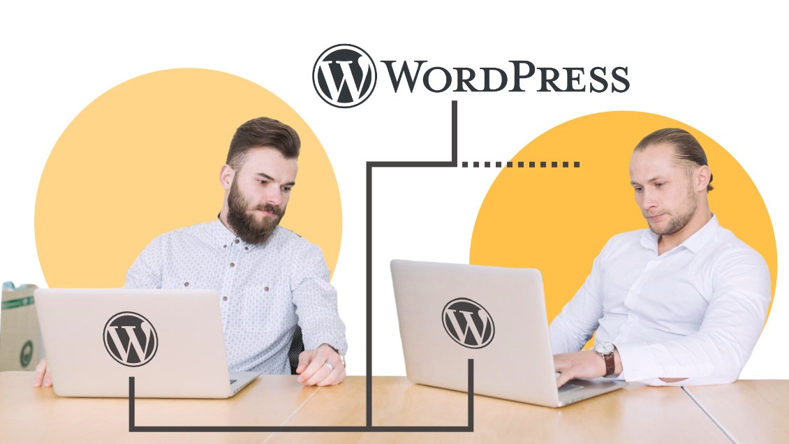 Obrazek dla WordPress Multisite – co to jest i jak włączyć?