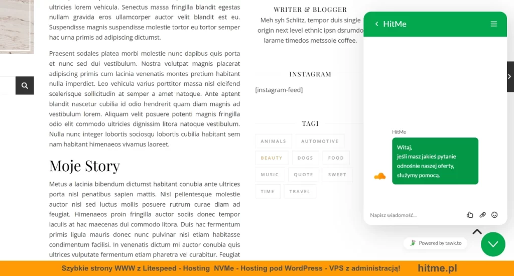 czat wordpress tawk